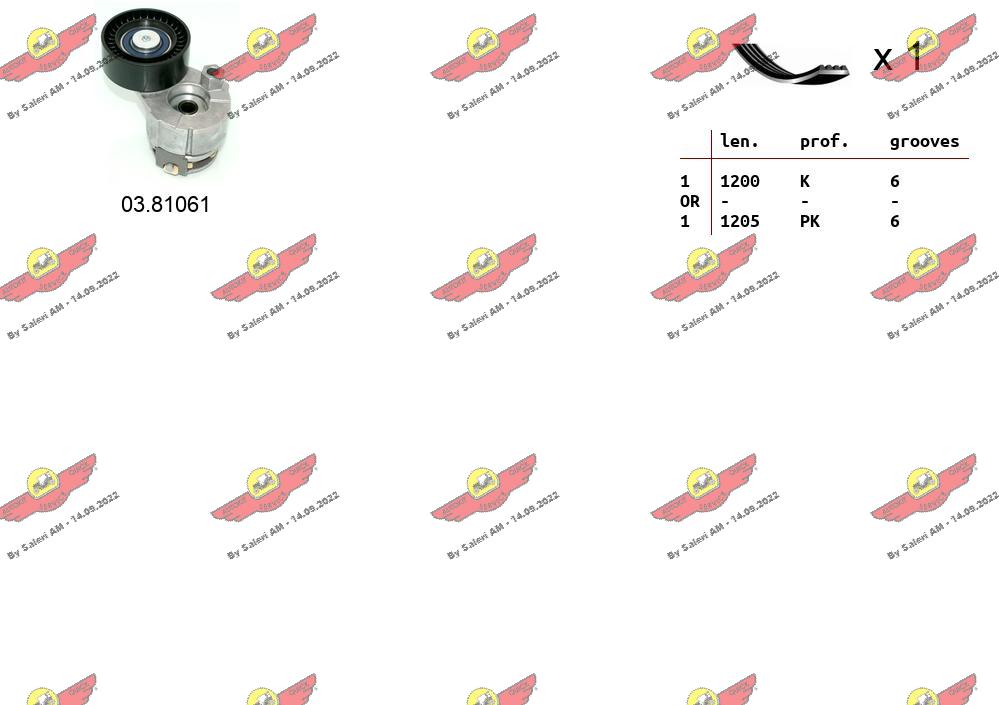 S55015909