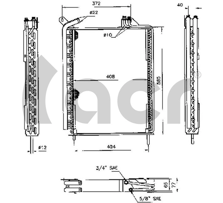 300398