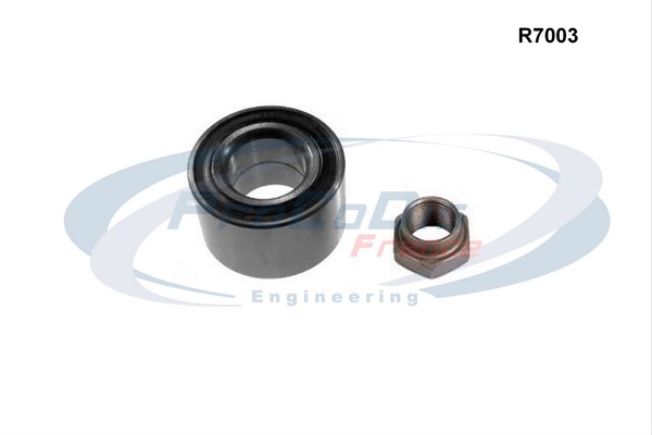 R7003