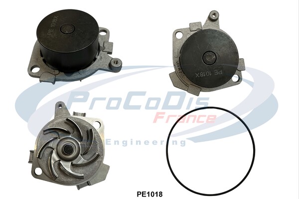 PE1018