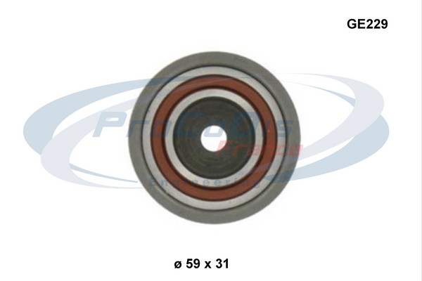 GE229