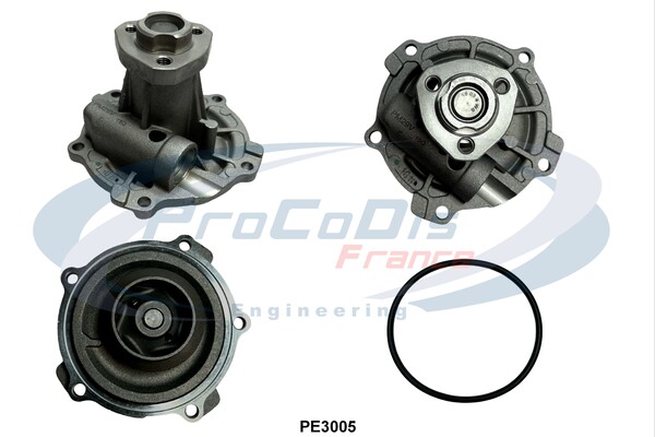 PE3005