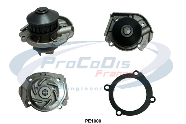 PE1000