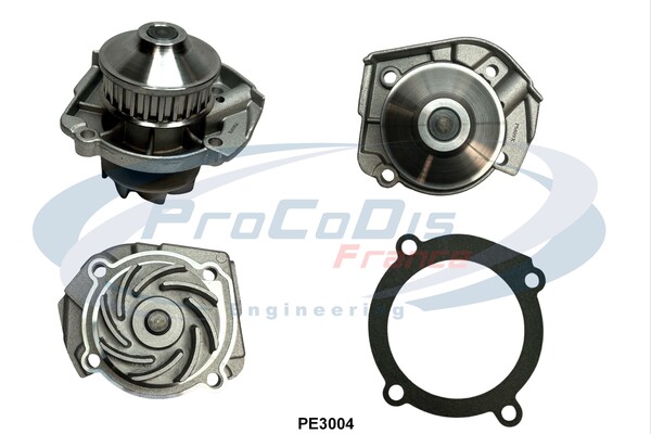 PE3004