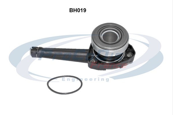 BH019