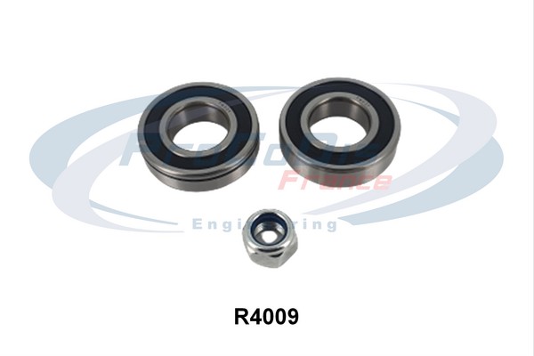 R4009