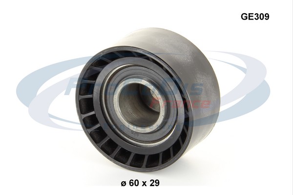GE309