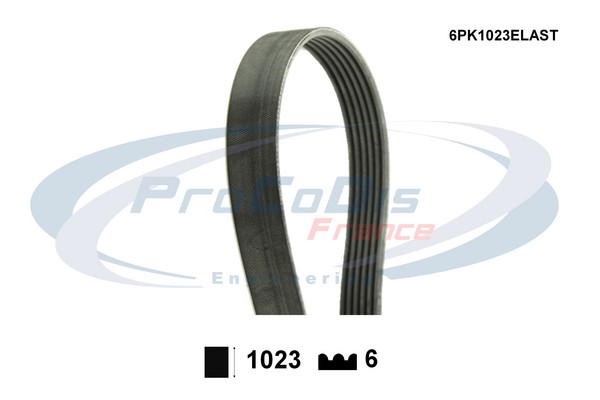 6PK1023ELAST