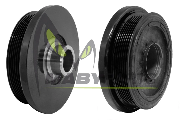 ODP313030
