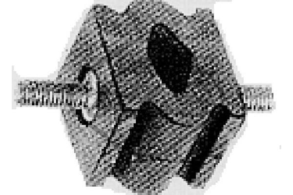 7700656895