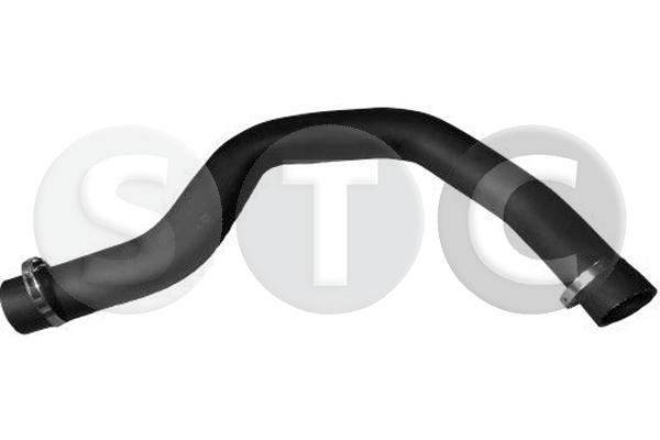 T479298