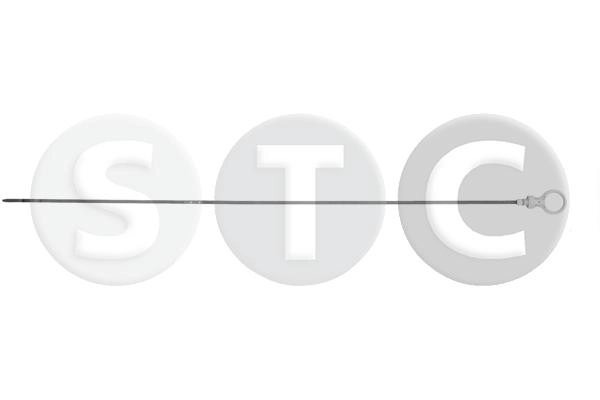 T439831