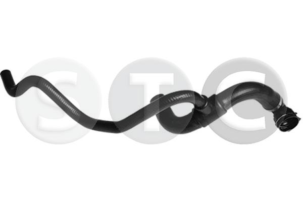 T407313