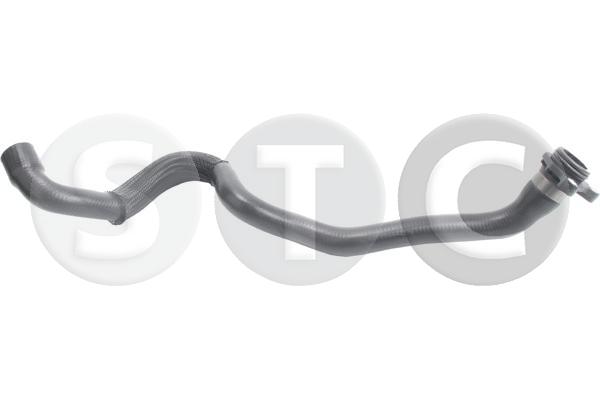 T499365