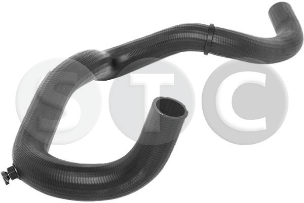 T494808