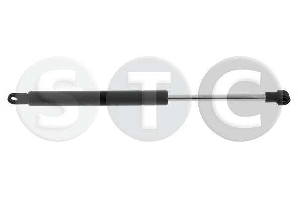 T446905