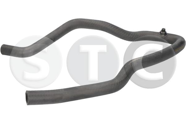 T495061