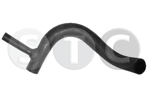 T407981