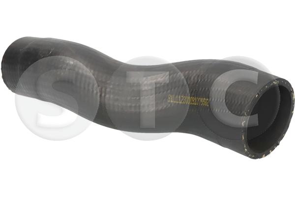 T479582