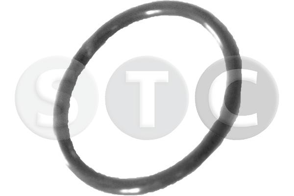 T439294
