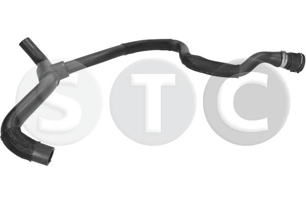 T495081
