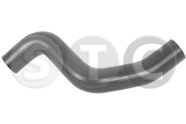 T494605