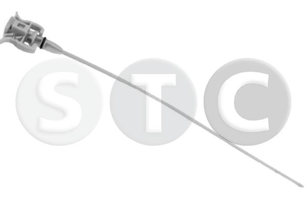 T436011