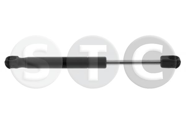 T446781