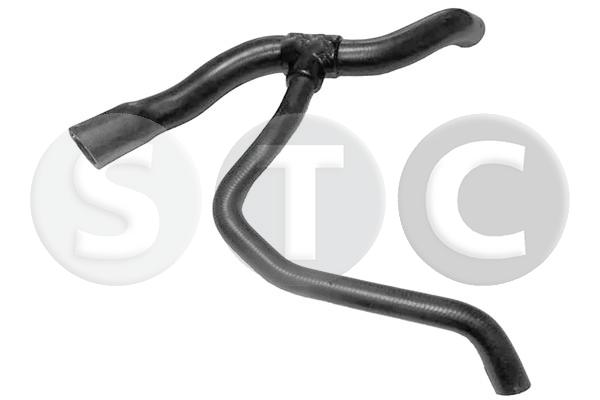 T498636
