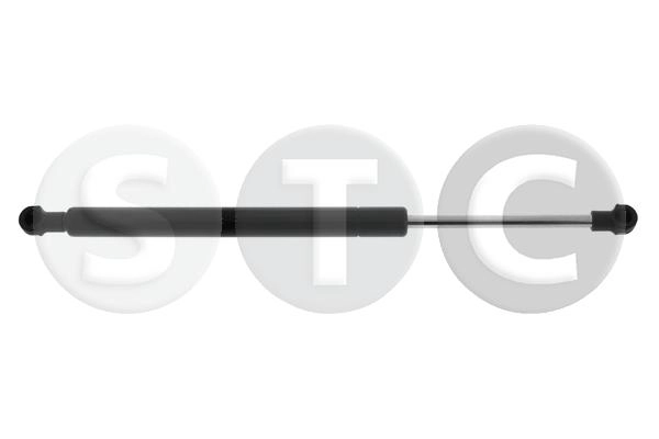 T446597