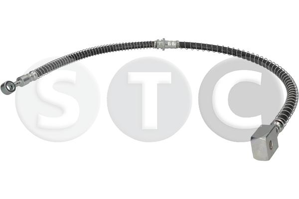 T496854