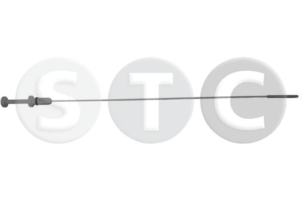 T404593