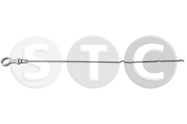 T439556