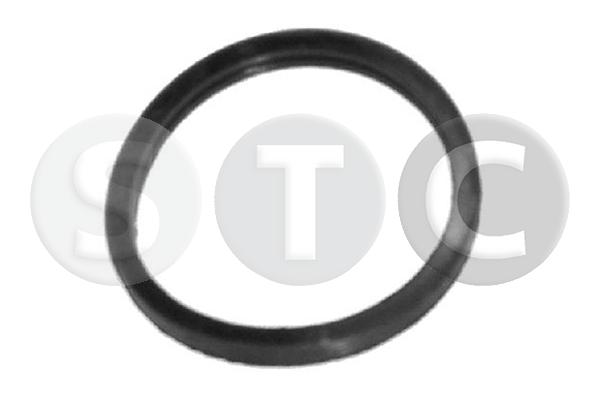 T402351