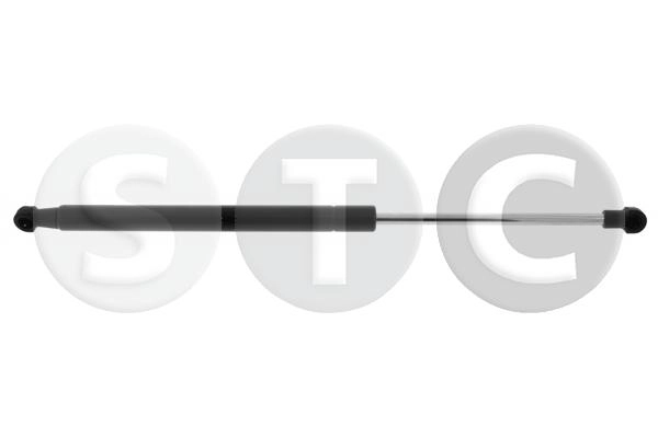 T446904