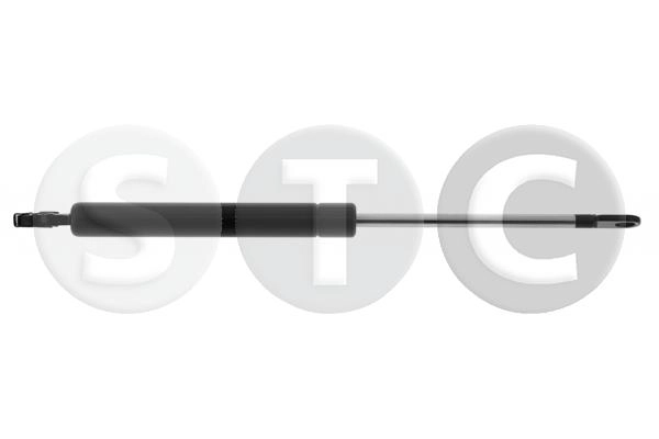 T446647