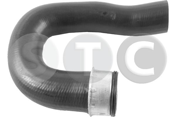 T409561