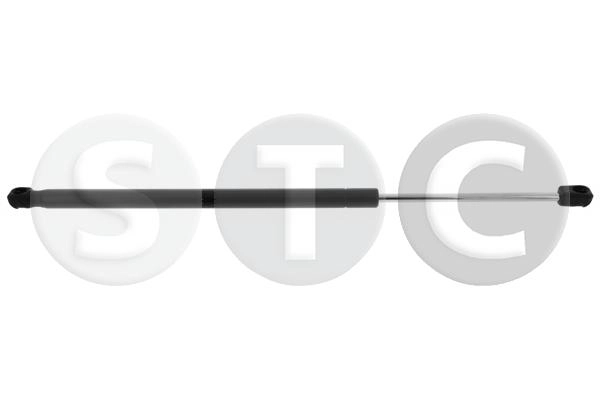 T446686