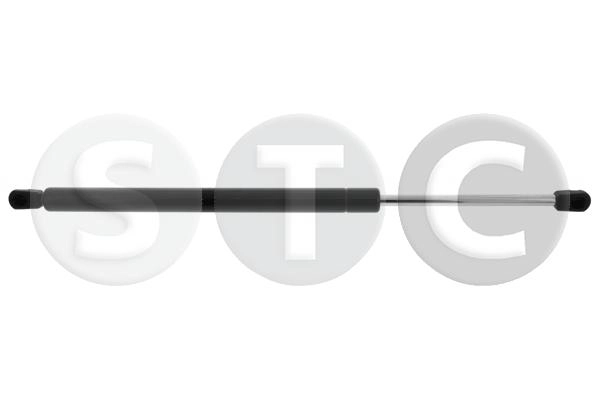 T446554