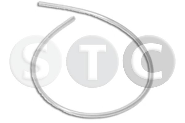T494036