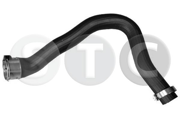 T479254
