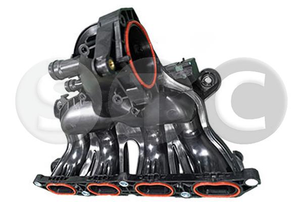 T445259