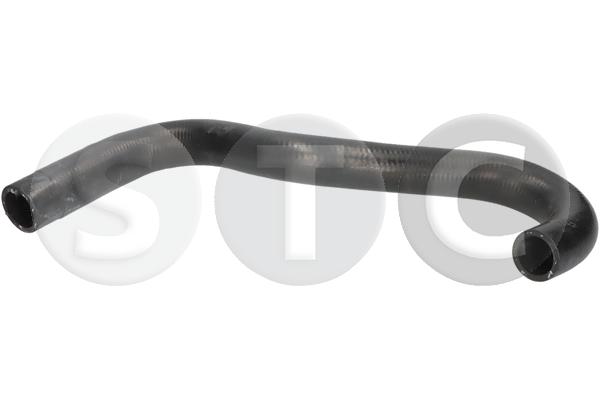 T495084