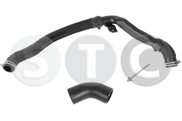 T494818