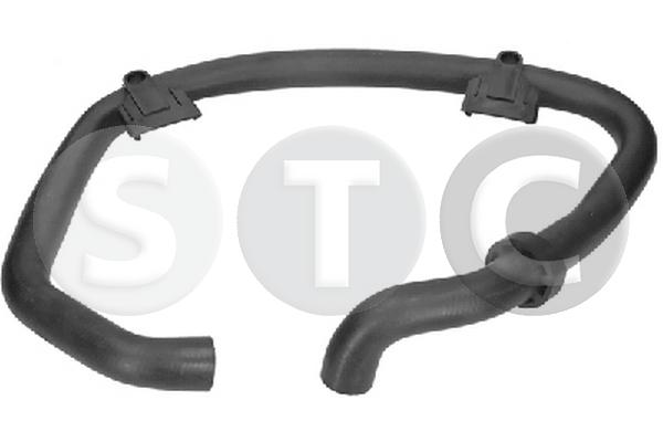 T498381