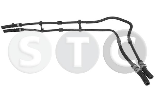 T498647
