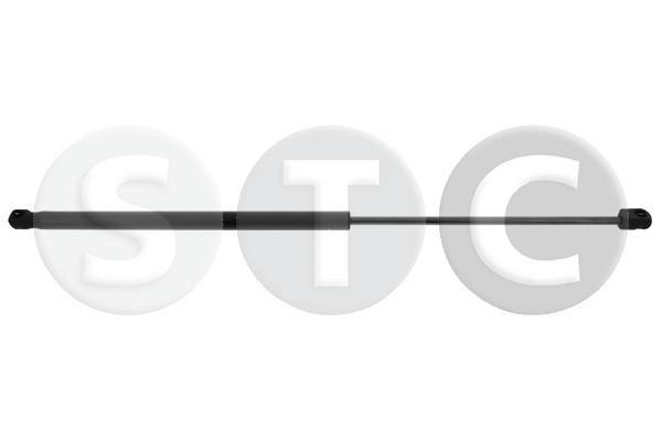 T446506