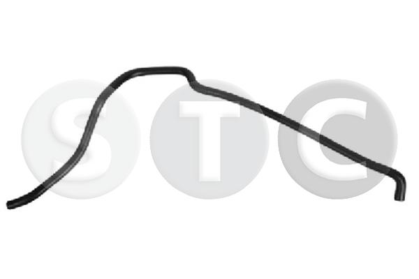 T494856