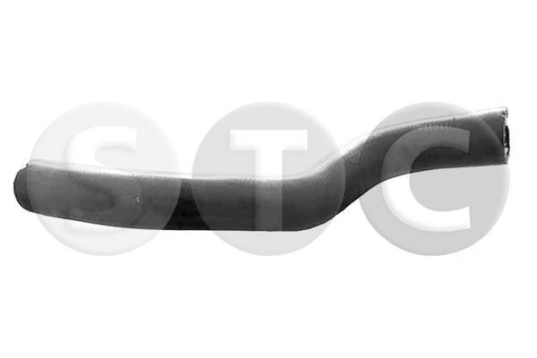 T494584