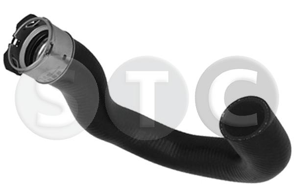 T499666